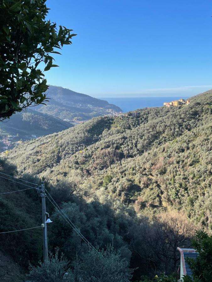 Le Case Di Petra Vignana Buitenkant foto