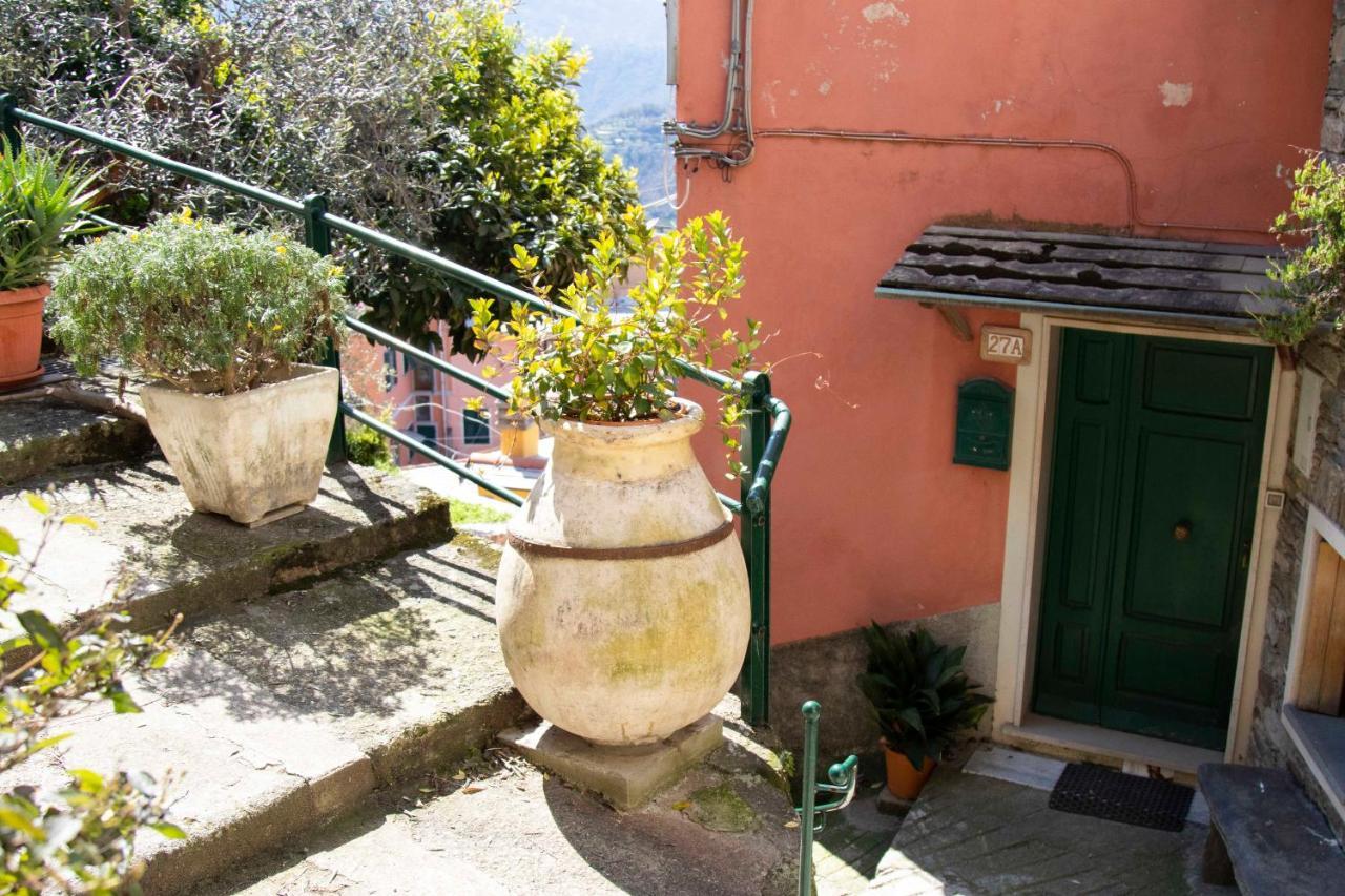Le Case Di Petra Vignana Buitenkant foto